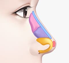 Nose tab content