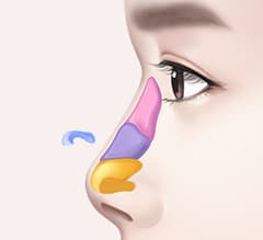Nose tab content